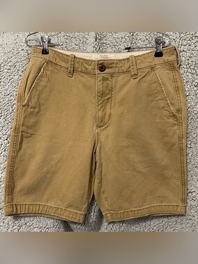 Hollister Men's Tan Flat-Front Chino Shorts
